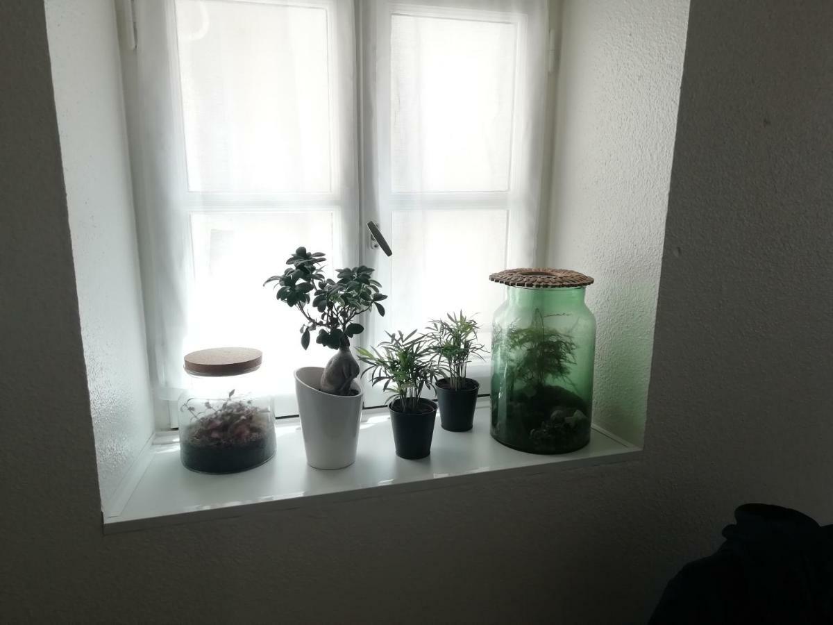 Le 39 Appartement Nîmes Buitenkant foto