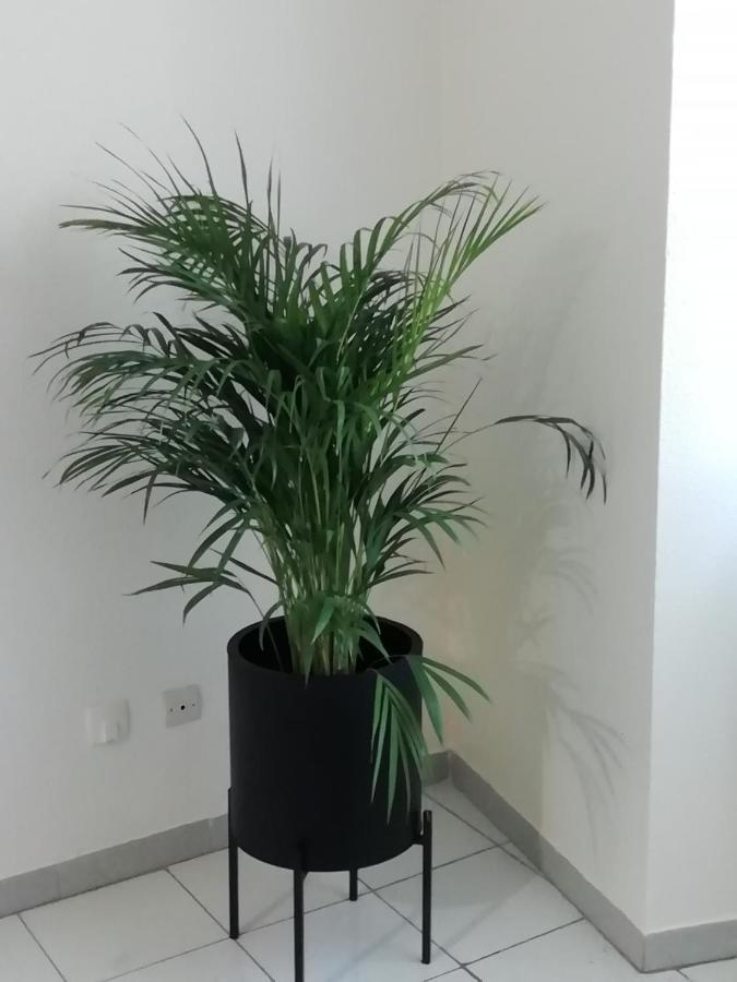 Le 39 Appartement Nîmes Buitenkant foto